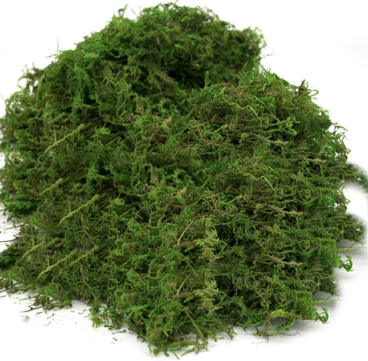 Usmola Fake Moss, Artificial Green Moss for Potted Plants Fairy Garden Accessories, 4OZ (Fresh Green)