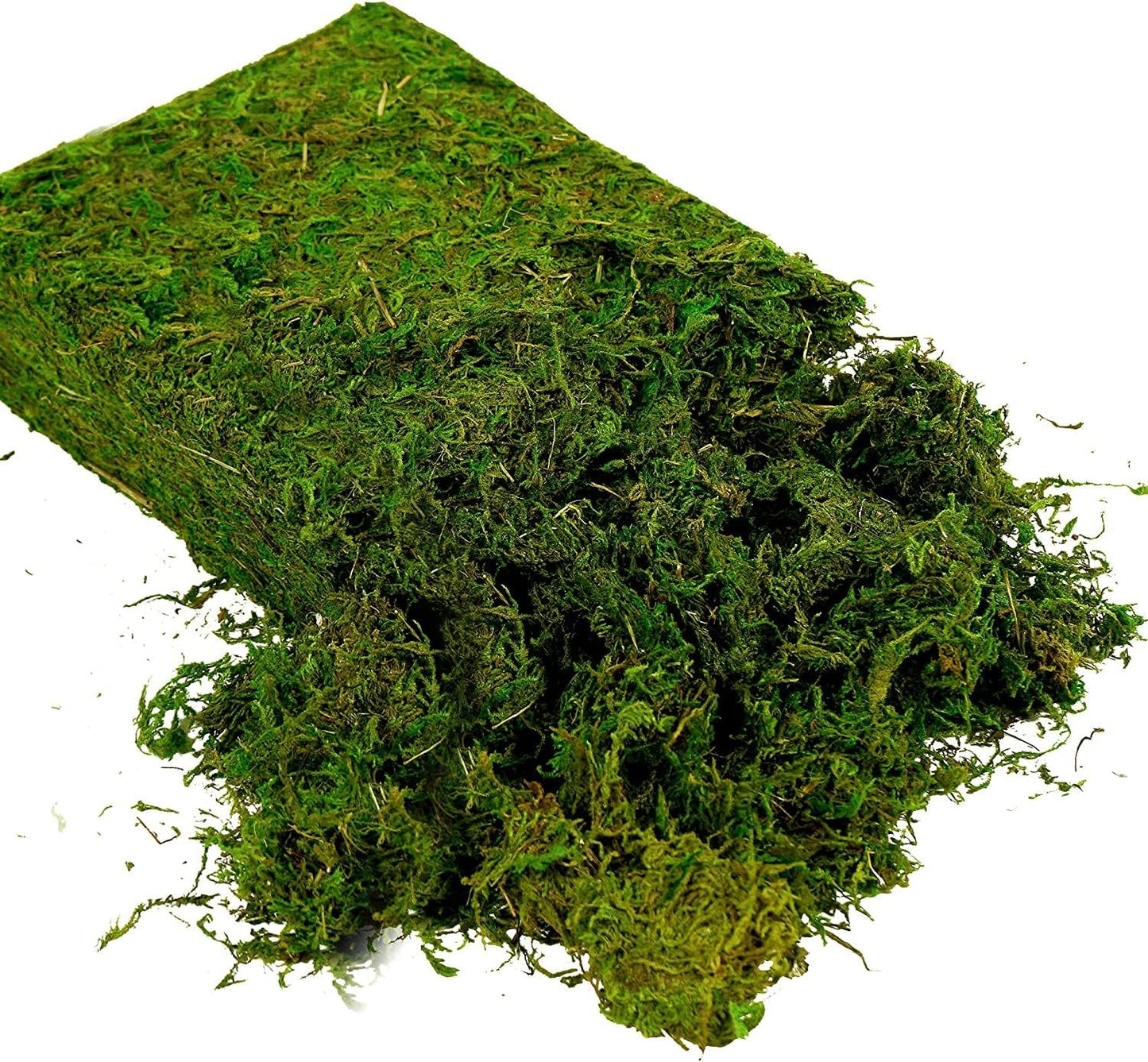 Artificial Moss, 16OZ Fake Moss for Crafts, Decorative Centerpieces, Fairy Garden, Wedding Party Decor, Faux Potted Plants, 455gr (Fresh Green)