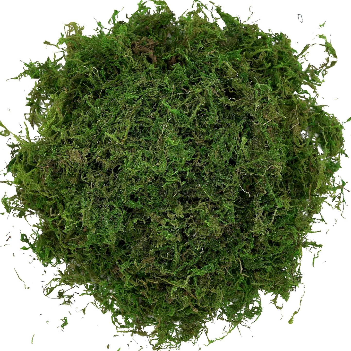 Artificial Moss, 16OZ Fake Moss for Crafts, Decorative Centerpieces, Fairy Garden, Wedding Party Decor, Faux Potted Plants, 455gr (Fresh Green)